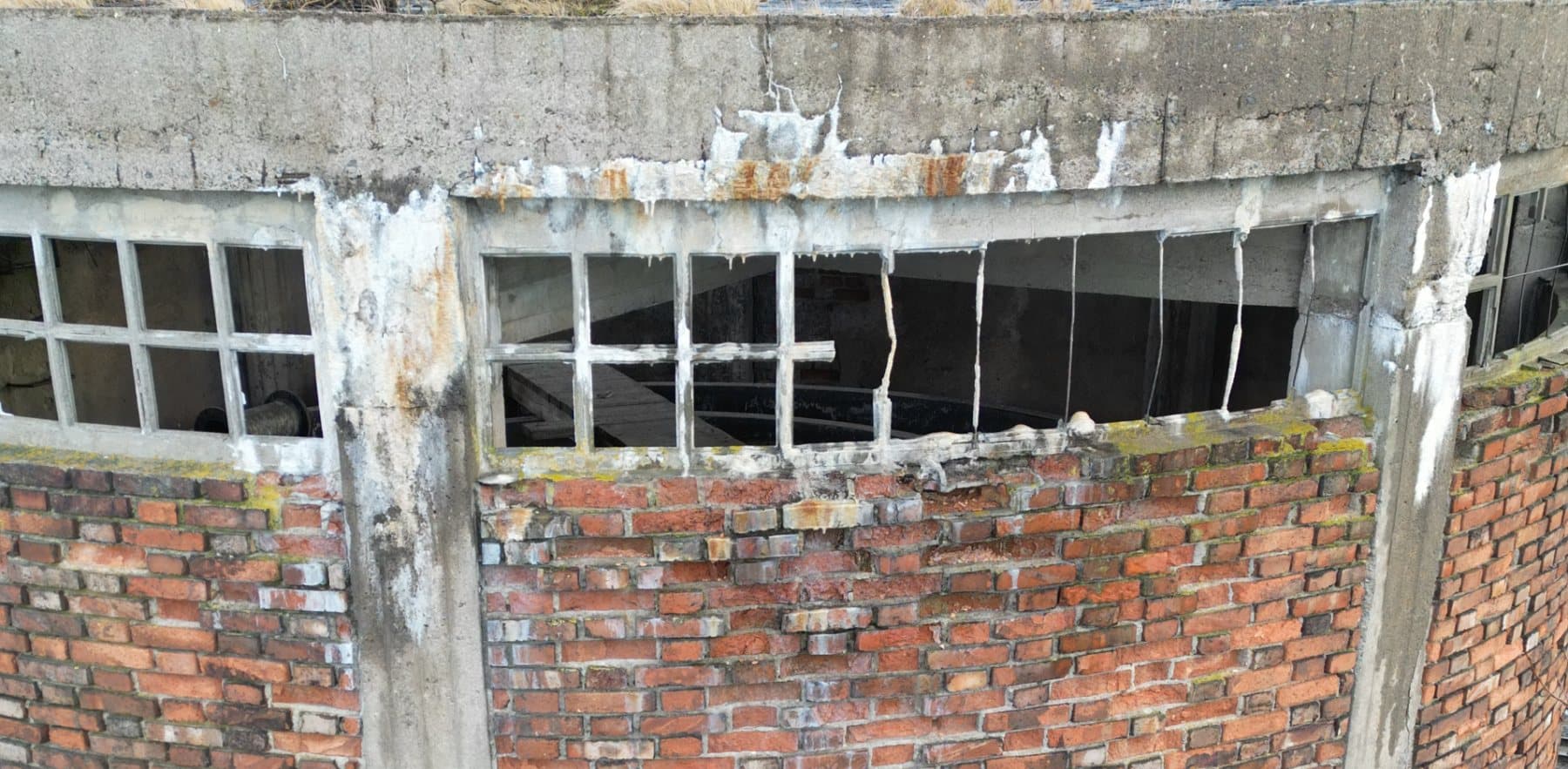 Inspection services